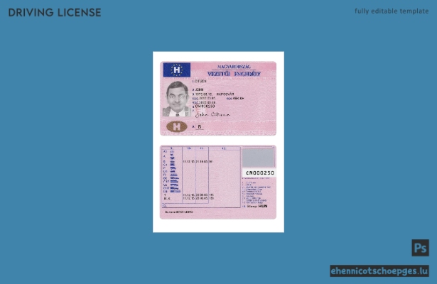 Ungarischer Führerschein Version 2 – Beispielvorschau